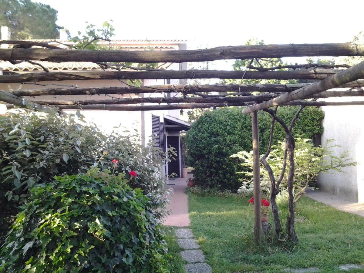 Agriturismo Piana Arborello Hotel Magliano in Toscana Exterior foto