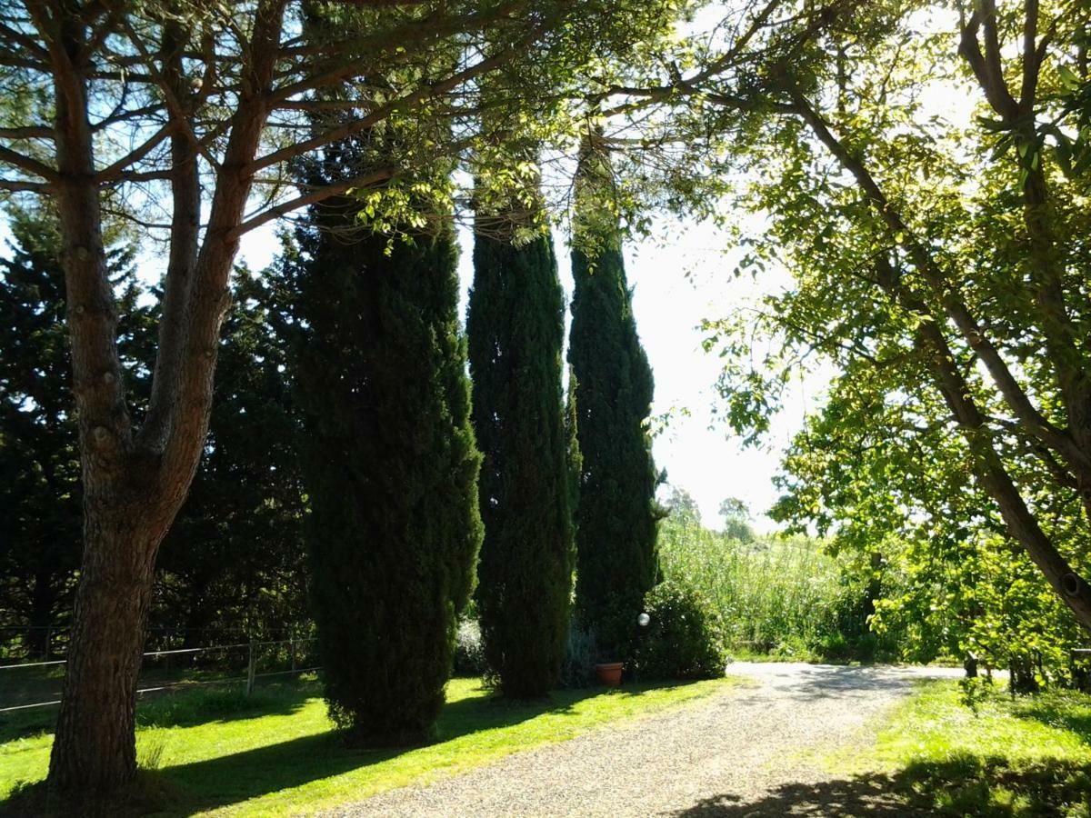 Agriturismo Piana Arborello Hotel Magliano in Toscana Exterior foto