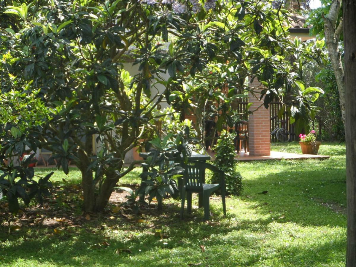 Agriturismo Piana Arborello Hotel Magliano in Toscana Exterior foto