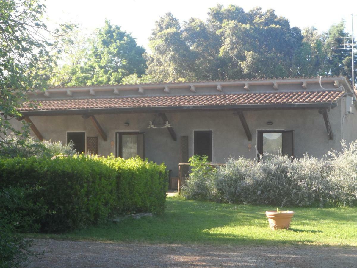 Agriturismo Piana Arborello Hotel Magliano in Toscana Exterior foto