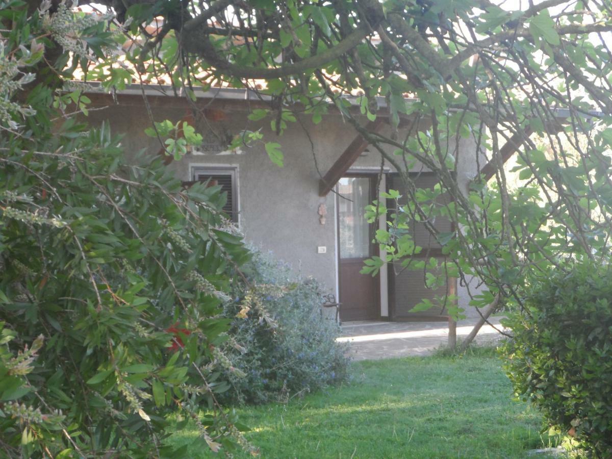 Agriturismo Piana Arborello Hotel Magliano in Toscana Exterior foto
