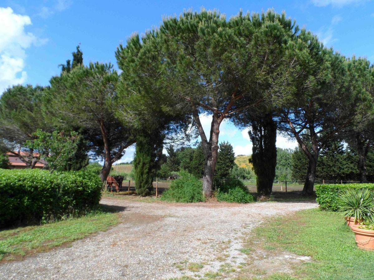 Agriturismo Piana Arborello Hotel Magliano in Toscana Exterior foto