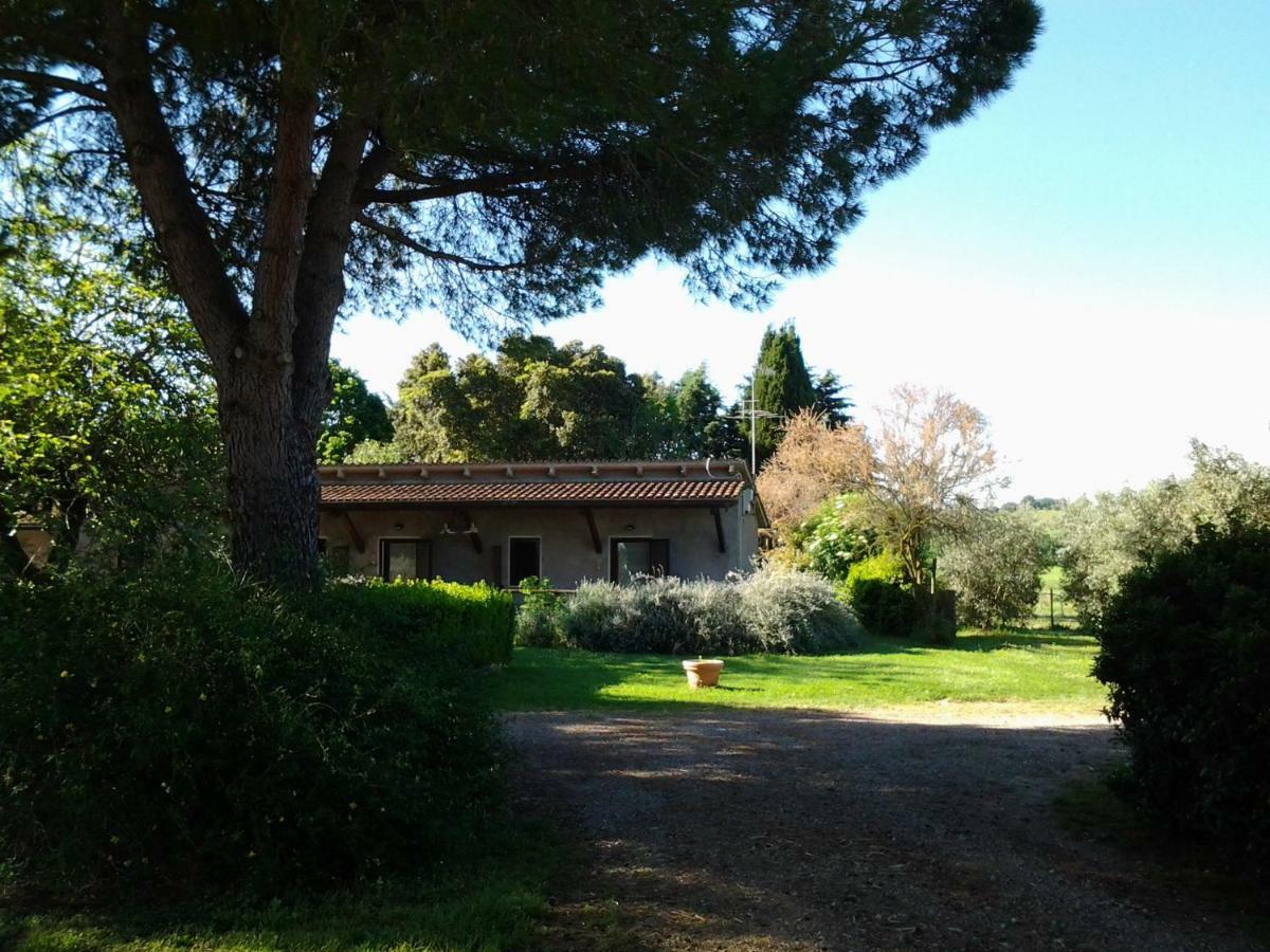 Agriturismo Piana Arborello Hotel Magliano in Toscana Exterior foto